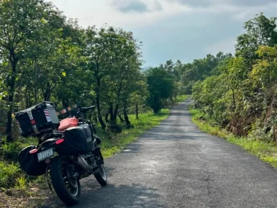 Shillong Cherry Blossom – Northeast India tour package